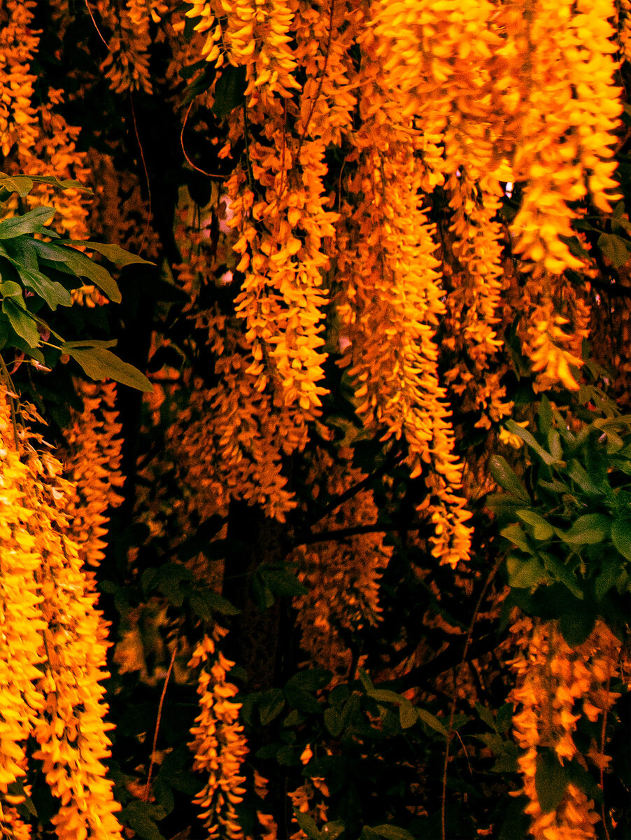 Cadmos et Harmonie — Cadmos3 Ressenti Tangerine